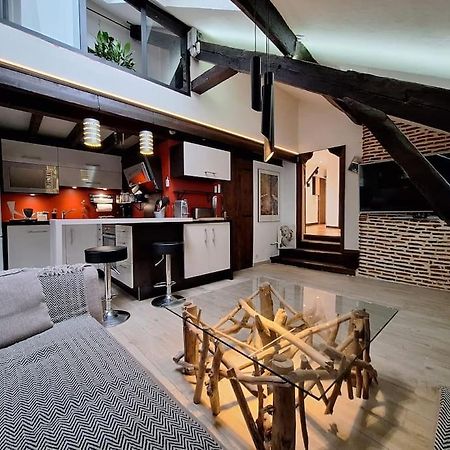 Le Perchoir De L'Empereur Apartment ออร์เลออง ภายนอก รูปภาพ
