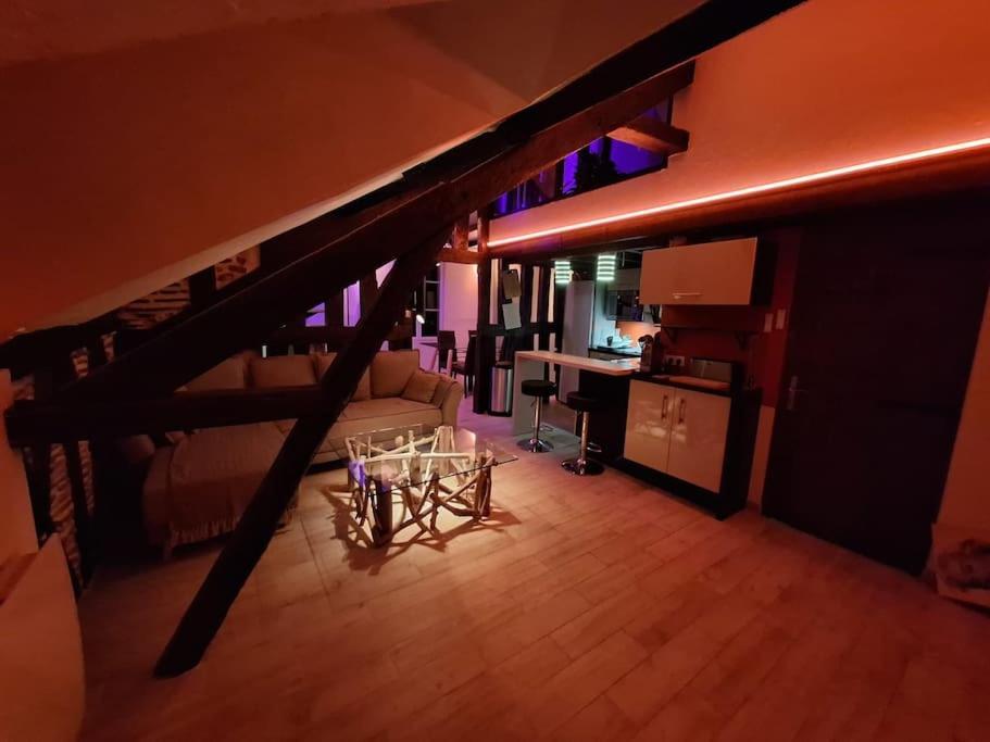 Le Perchoir De L'Empereur Apartment ออร์เลออง ภายนอก รูปภาพ