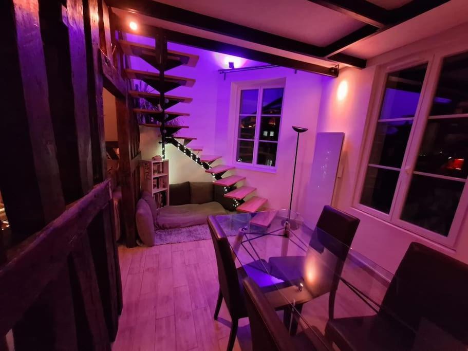 Le Perchoir De L'Empereur Apartment ออร์เลออง ภายนอก รูปภาพ